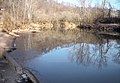 Middle Island Creek in Tyler County