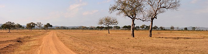 Mikumi National Park