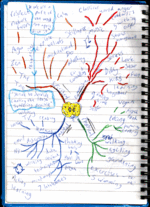 Miniatuur voor Mindmap