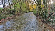 Vignette pour Ruisseau de Cornebouche