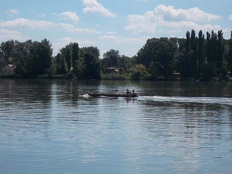 File:Motorboat, 2018 Ráckeve.jpg