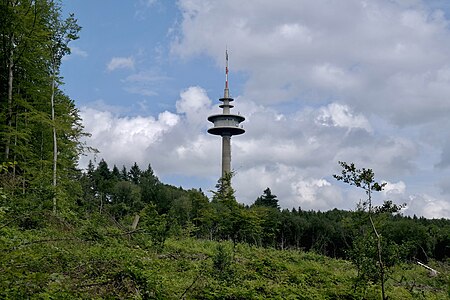 Mulleklenkes mitten im Wald