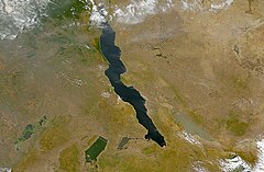 Liqejt e mëdhenjë të Afrikës