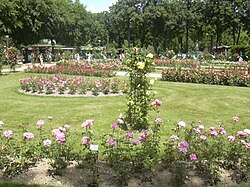 La roseraie dans la parc de la Pépinière