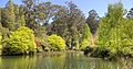 National Rhododendron Gardens