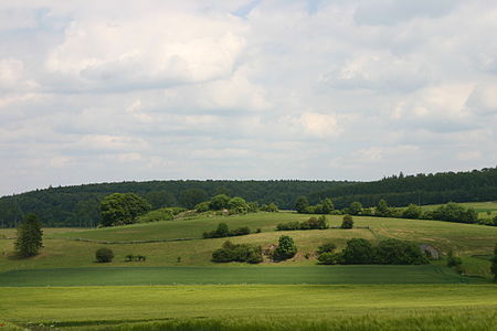 Naturschutzgebiet Schwelge Wolfsknapp 1