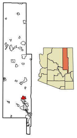 Localização de Snowflake em Navajo County, Arizona.