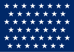 US Naval Jack 45 stars.svg