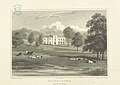 Neale(1818) p2.142 - Panshanger, Hertfordshire.jpg