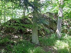 Hauptburgplateau mit erhöhter Felspartie. Ansicht von Südwesten