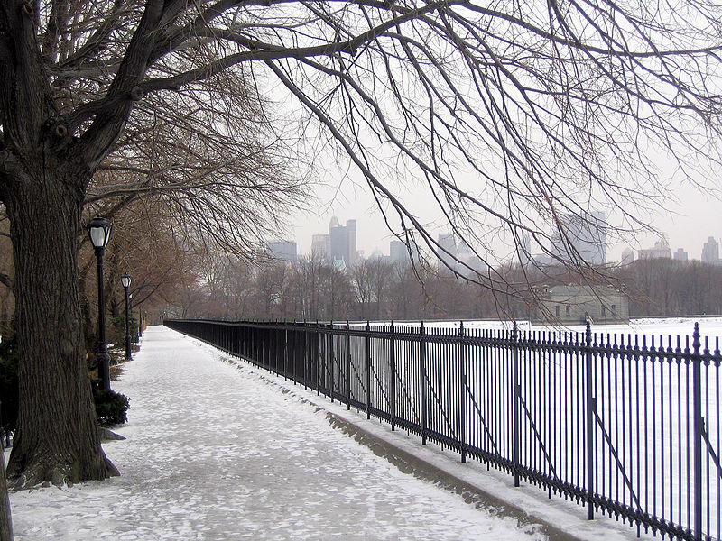 File:New York. Central Park. Snowy (2797315661).jpg