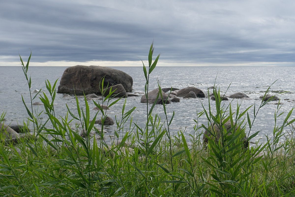 Northern coast. Национальный парк Восточной части финского залива. Фауна финского залива. Финский залив табличка. Финский залив животные Википедия.