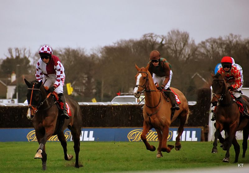 File:Novices hurdle (8315430892).jpg