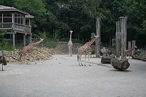 Zoo Osnabrück: Beschreibung, Geschichte, Bereiche