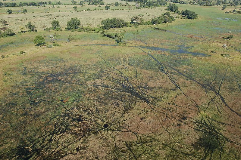 File:Okavango Delta, Botswana (2675186870).jpg