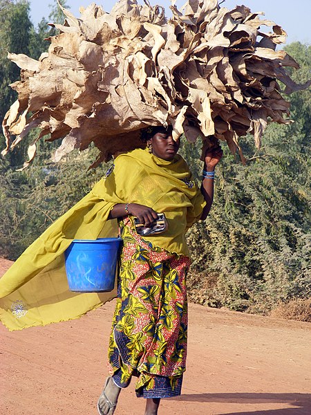 File:On the way to the market.jpg