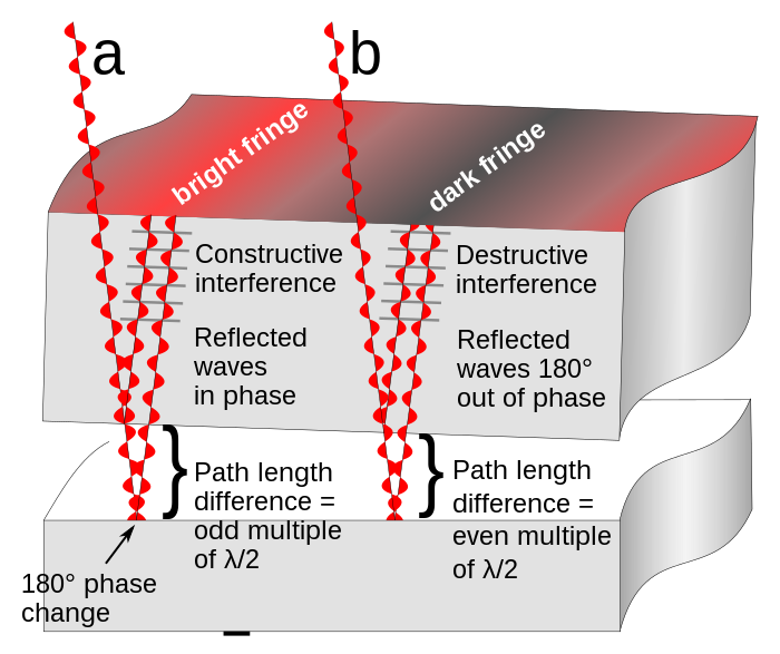 How interference fringes are formed by an optical flat resting on a reflective surface.  The gap between the surfaces and the wavelength of the light waves are greatly exaggerated.