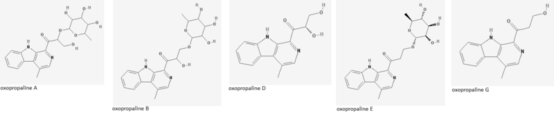 File:Oxopropalines.png