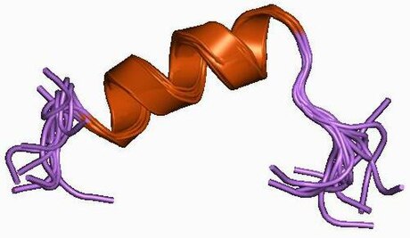 File:PDB 1byy EBI.jpg