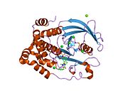 PDB 2f6v EBI.jpg