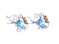 PDB 2h3l EBI.jpg