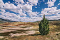 Painted Hills.