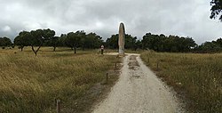 Image illustrative de l’article Menhir de Meada