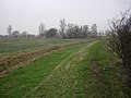 Path along River Great Ouse - geograph.org.uk - 1139619.jpg