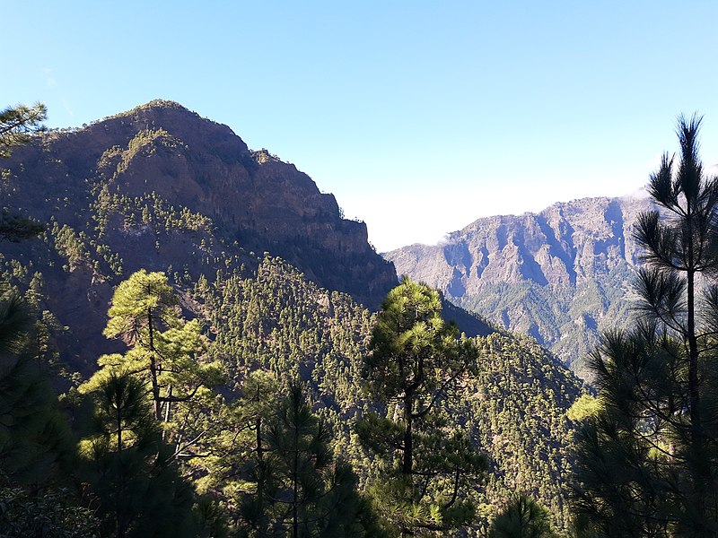 File:Pico de Bejenado, La Palma, forward on trail.jpg