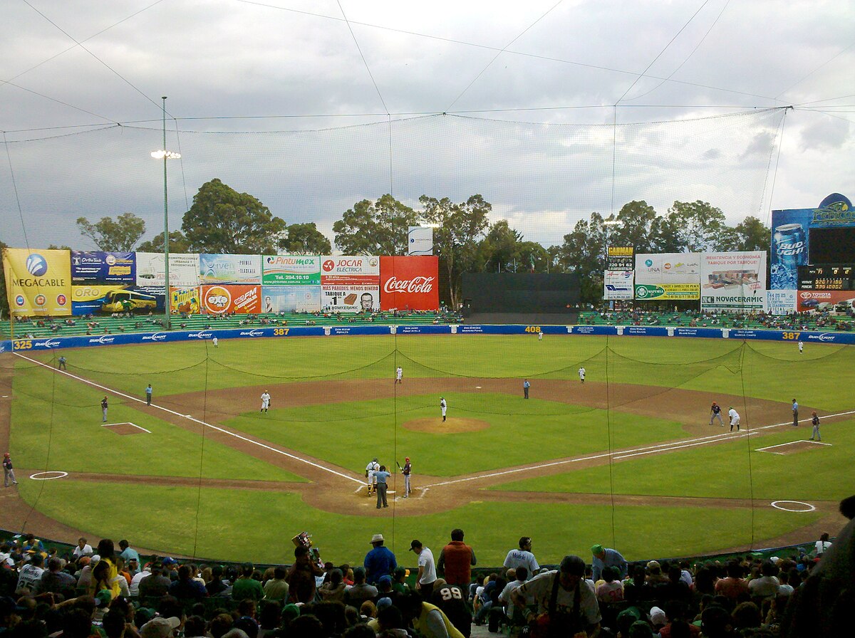 Playera LMB Bravos de León