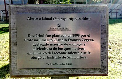 Placa en Lahual de Claudio Donoso