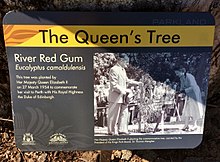 Placard for "The Queen's Tree", Kings Park, Perth, WA Placard - Queens Tree - Kings Park WA.jpg