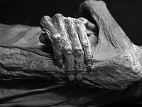 Detail mumií v mexickém městě Guanajuato. Mumie jsou mrtví z epidemie cholery, která ve městě řádila v roce 1833