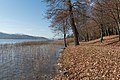 * Nomination Fallen leaves at the Peninsula promenade, Poertschach am Woerther See, Carinthia, Austria --Johann Jaritz 03:21, 17 November 2015 (UTC) * Promotion Good quality.--Famberhorst 05:38, 17 November 2015 (UTC)