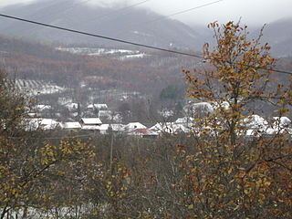 Pretrešnja Village in Toplica District, Serbia