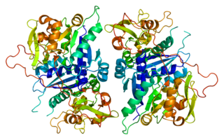 <span class="mw-page-title-main">B3GAT2</span> Protein-coding gene in the species Homo sapiens