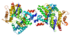 Ақуыз PDE6G PDB 1fqj.png