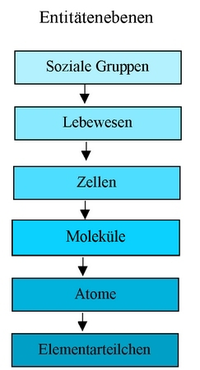 Putnam-Oppenheim.Scheme2.png