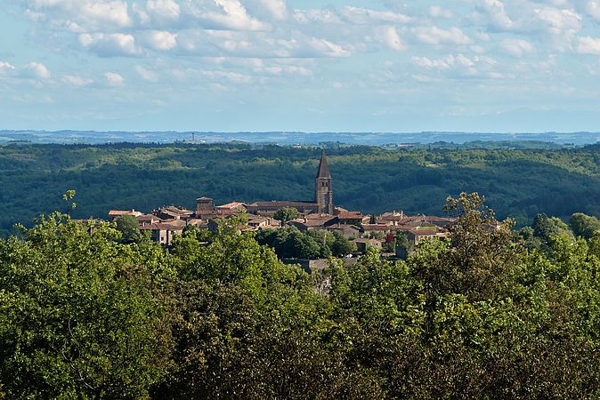 Français : Vue de Puycelsi du nord, depuis la forêt domaniale de Grésigne. English: View of Puycelsi from North, from Grésigne Forest, France.