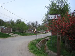 Intrarea în satul Miculești