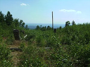 View from the summit region towards Wiesbaden