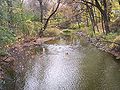 Rice Creek in Fridley