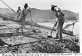 File:Ridge Route construction reinforcement 1919.jpg