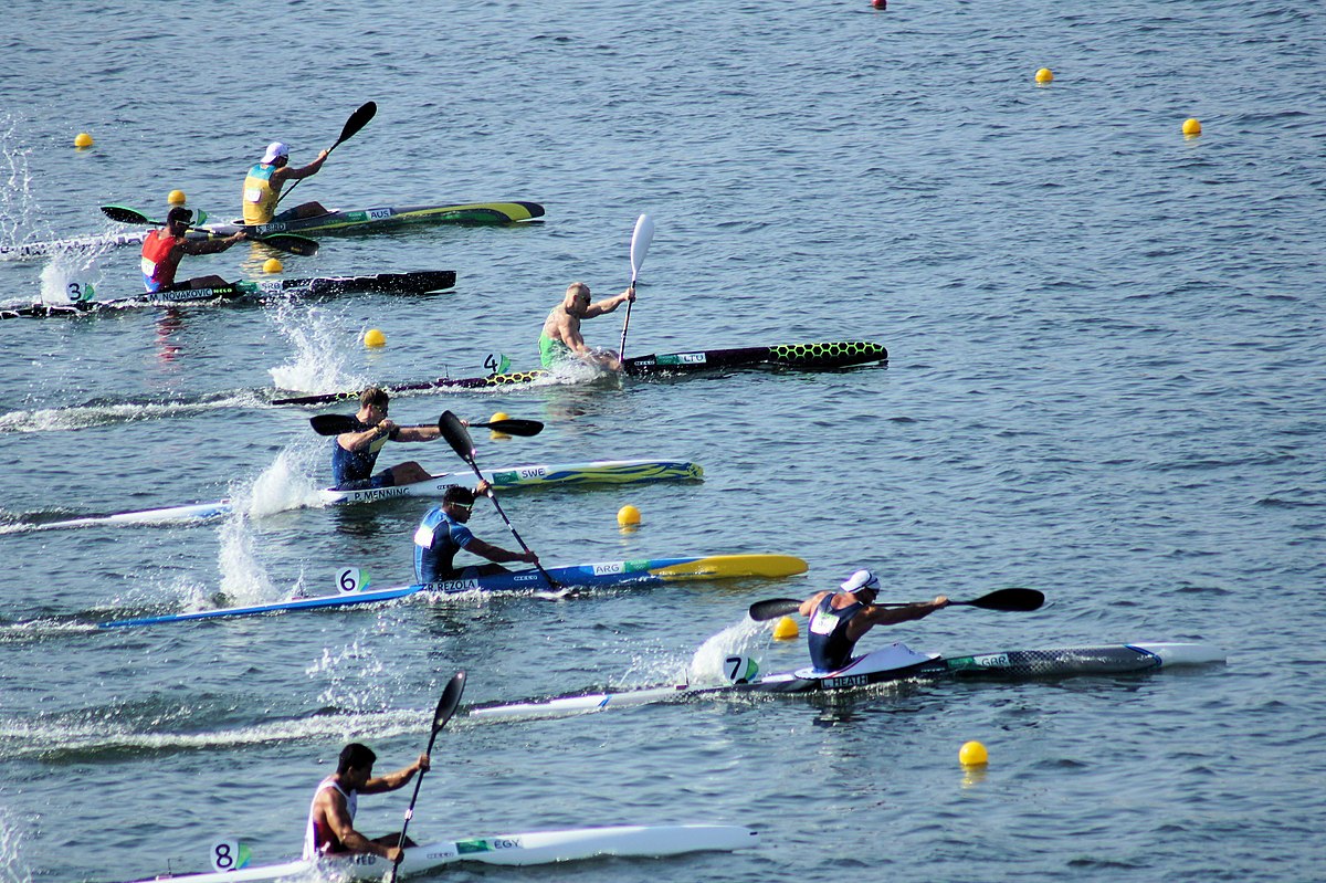 jage Opstå skammel Canoe sprint - Wikipedia