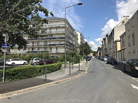 Rue d'Oseille