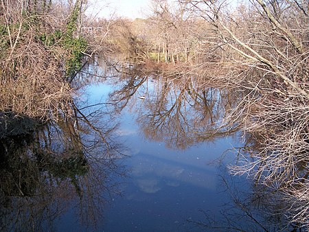 Saint Jones River