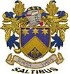 Официальный логотип Saltibus, Сент-Люсия