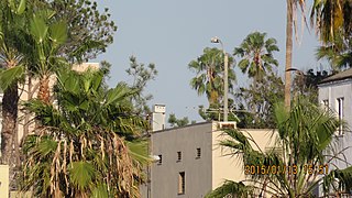 Santa Monica, CA, USA - panoramio (128).jpg