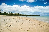 Beach in São Miguel dos Milagres