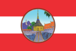 Сарабурски флаг 2.png